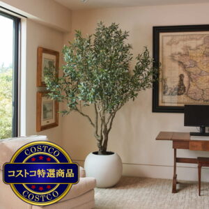 (コストコ) CG HUNTER Faux Olive Tree 244cm
