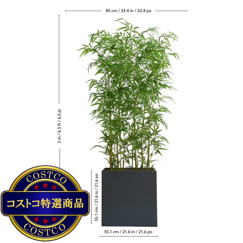 (コストコ) CG HUNTER 人工観葉植物 青竹 ルームディバイダー 約198cm - 画像 (4)