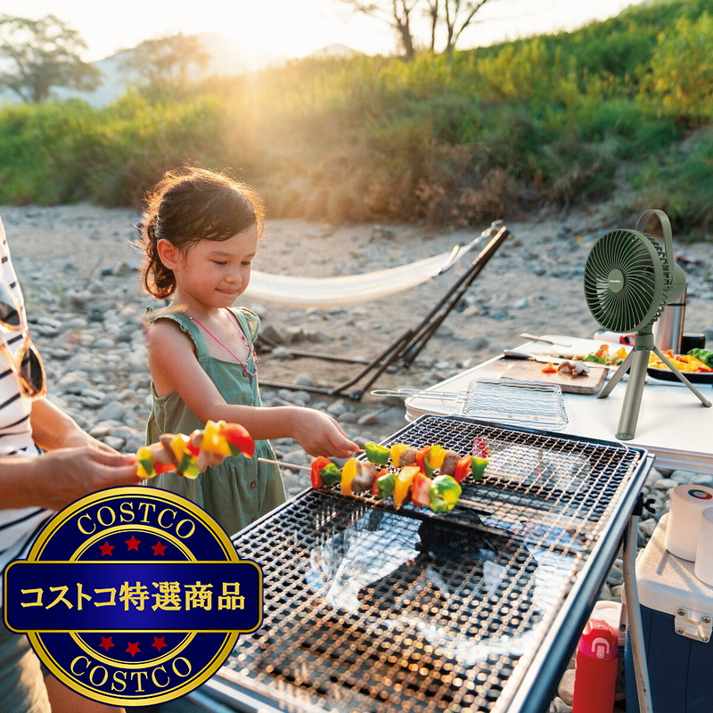 (コストコ) カメリオン ライト付キャンプ ファン 3段階調節 - 画像 (4)
