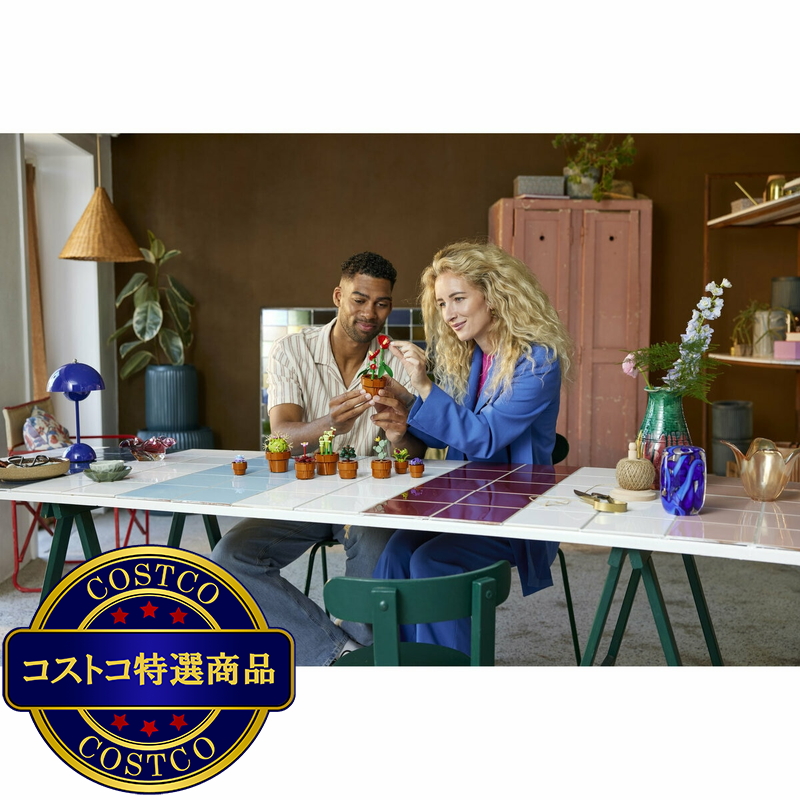 (コストコ) レゴ ミニ観葉植物セット - 画像 (4)