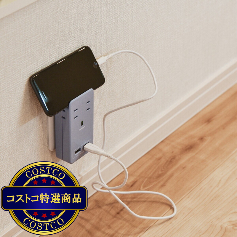 (コストコ) Fargo(ファーゴ)SATI COLOR(サティカラー) AC4個口 4.2A USB 全14色 CT221 パープル - 画像 (3)