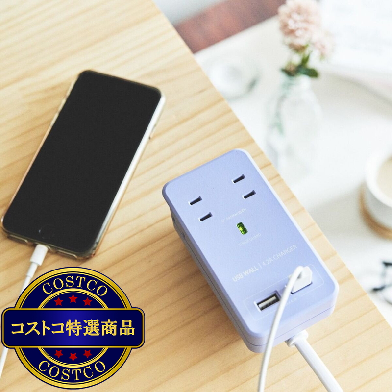 (コストコ) Fargo(ファーゴ)SATI COLOR(サティカラー) AC4個口 4.2A USB 全14色 CT221 パープル - 画像 (4)