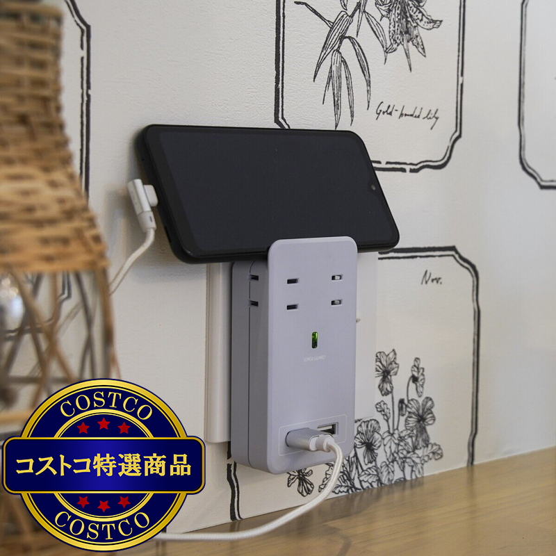(コストコ) Fargo(ファーゴ)SATI COLOR(サティカラー) AC4個口 4.2A USB 全14色 CT221 スモーキーブルー - 画像 (3)