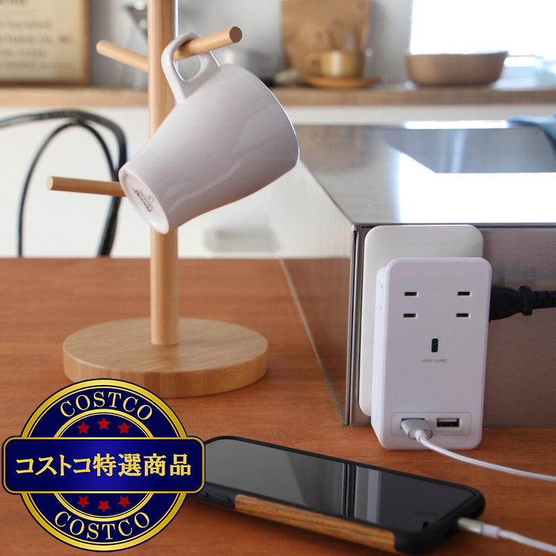 (コストコ) Fargo(ファーゴ)SATI COLOR(サティカラー) AC4個口 4.2A USB CT221 - 画像 (3)