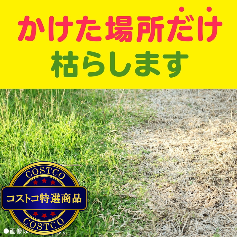 (コストコ) アースガーデン おうちの草コロリ 除草剤 6L - 画像 (3)