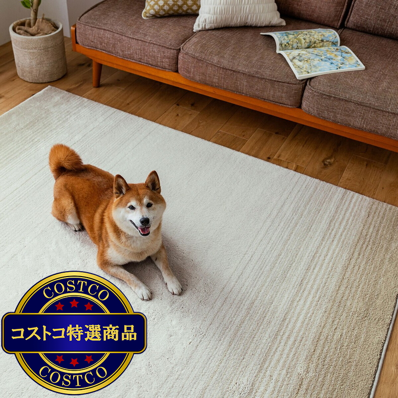 (コストコ) スミノエ ペット消臭ラグ マール2 190 x 190cm アイボリー - 画像 (3)