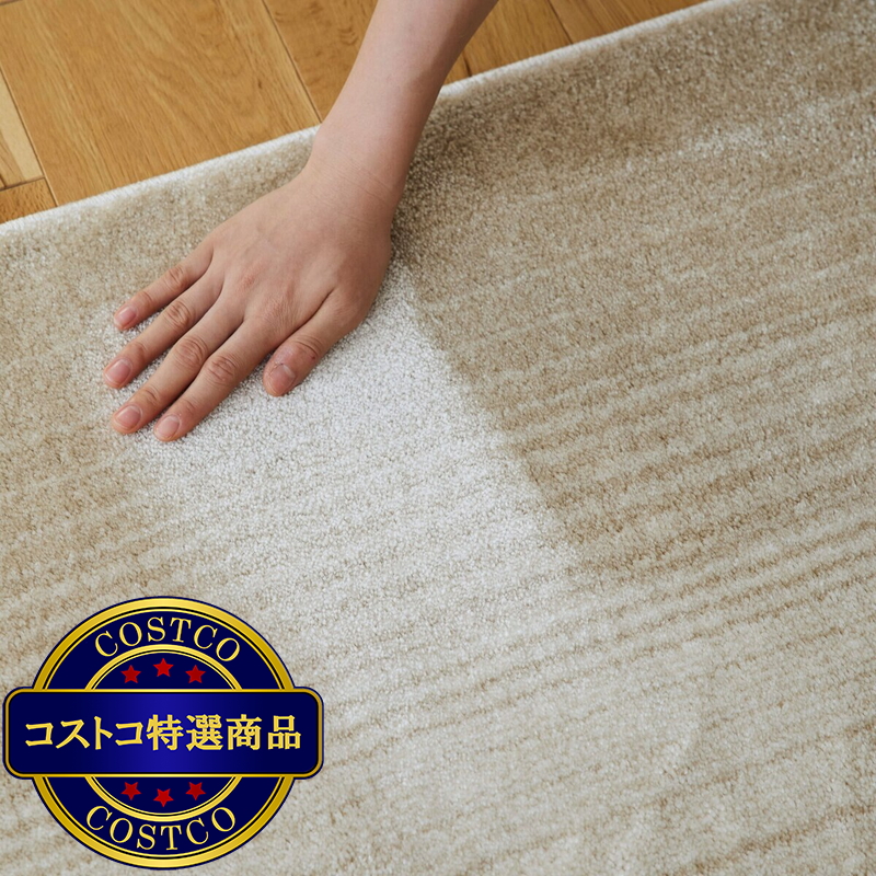 (コストコ) スミノエ ペット消臭ラグ マール2 190 x 190cm アイボリー - 画像 (4)