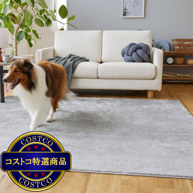 (コストコ) スミノエ ペット消臭ラグ マール2 190 x 190cm ダークグレー - 画像 (2)