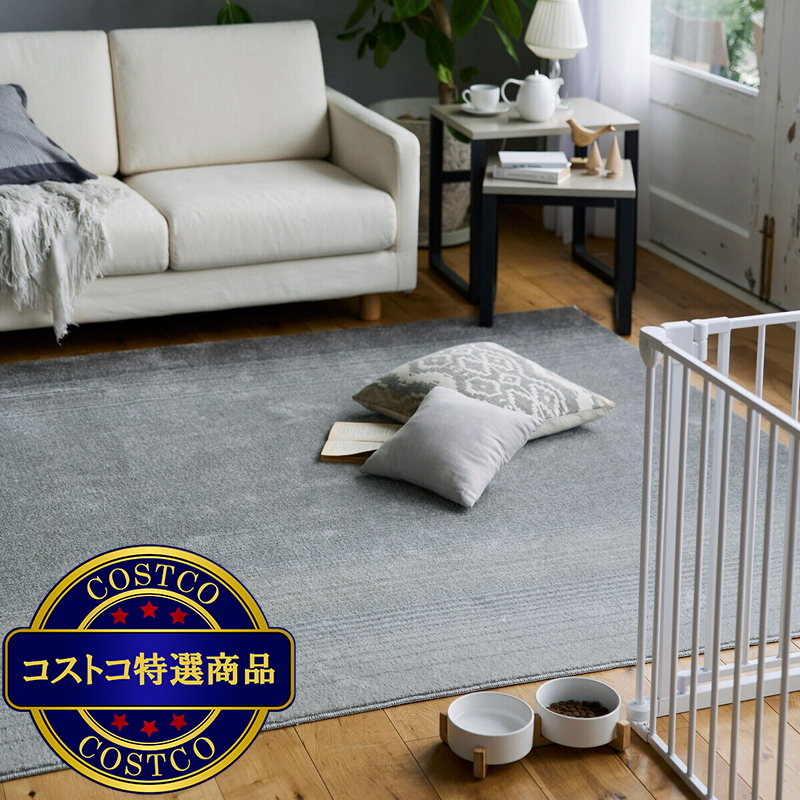 (コストコ) スミノエ ペット消臭ラグ マール2 190 x 190cm ダークグレー - 画像 (3)
