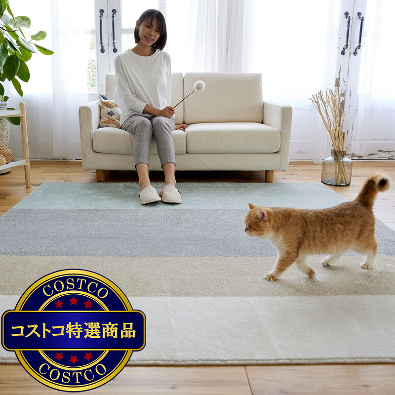 (コストコ) スミノエ ペット消臭ラグ ワグ 190 x 240cm ペールブルー - 画像 (3)