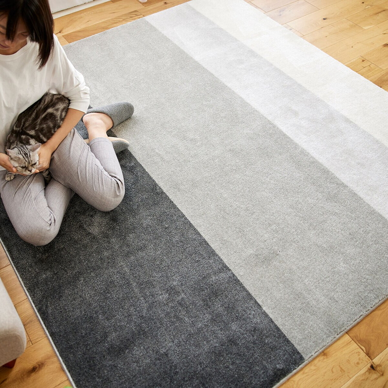 (コストコ) スミノエ ペット消臭ラグ ワグ 190 x 240cm グレー - 画像 (2)