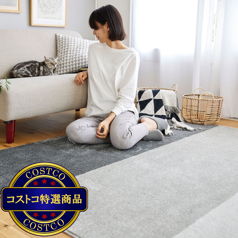 (コストコ) スミノエ ペット消臭ラグ ワグ 190 x 240cm グレー - 画像 (3)