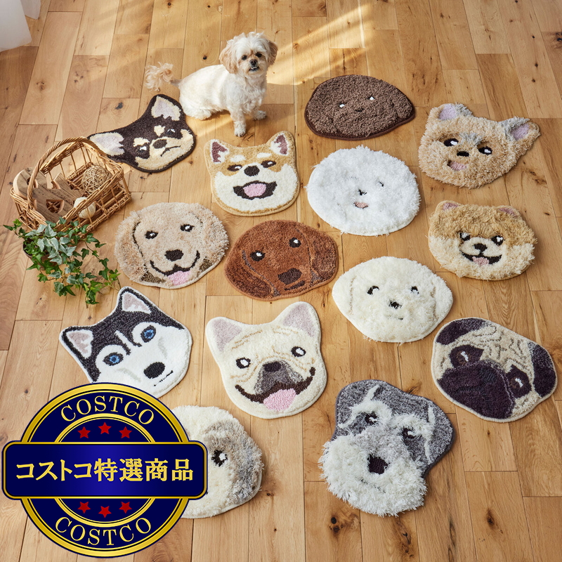 (コストコ) スミノエ チェアパッド イヌカオ シバイヌ - 画像 (2)