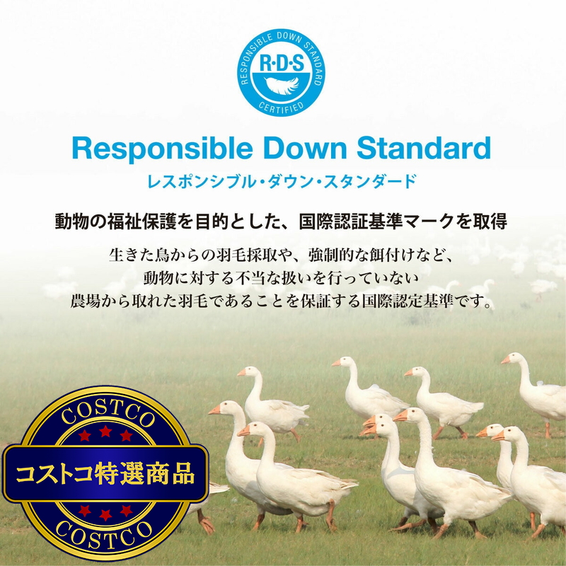 (コストコ) 羽毛合い掛け布団 ナチュラルダックダウン93% キング アイボリー - 画像 (4)