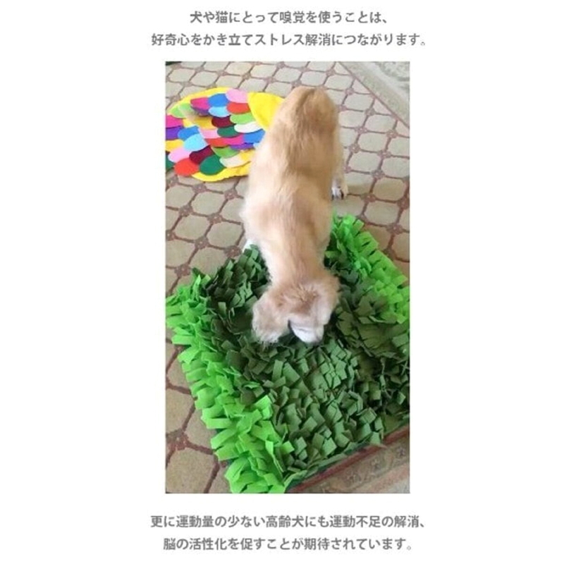 (コストコ) Petique ぺティーク スナッフリング ノーズワークマット 芝生Ver. - 画像 (2)