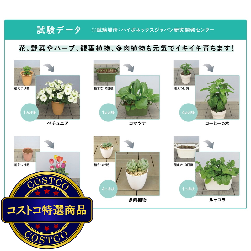 (コストコ) ハイポネックス マグァンプeco 中粒 元肥肥料 3kg - 画像 (4)