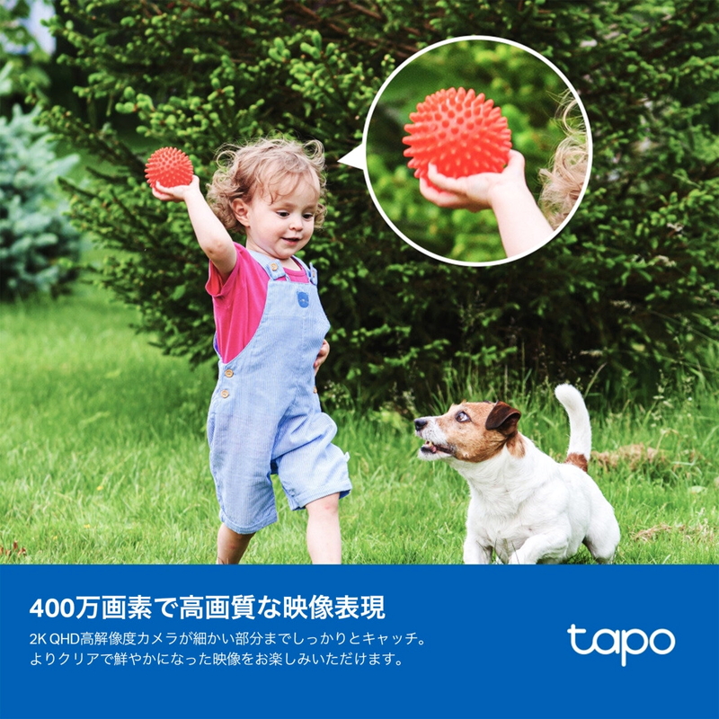 (コストコ) TP-Link (ティーピーリンク) tapo フルワイヤレスセキュリティカメラ ソーラーパネル付き TC85KIT - 画像 (3)