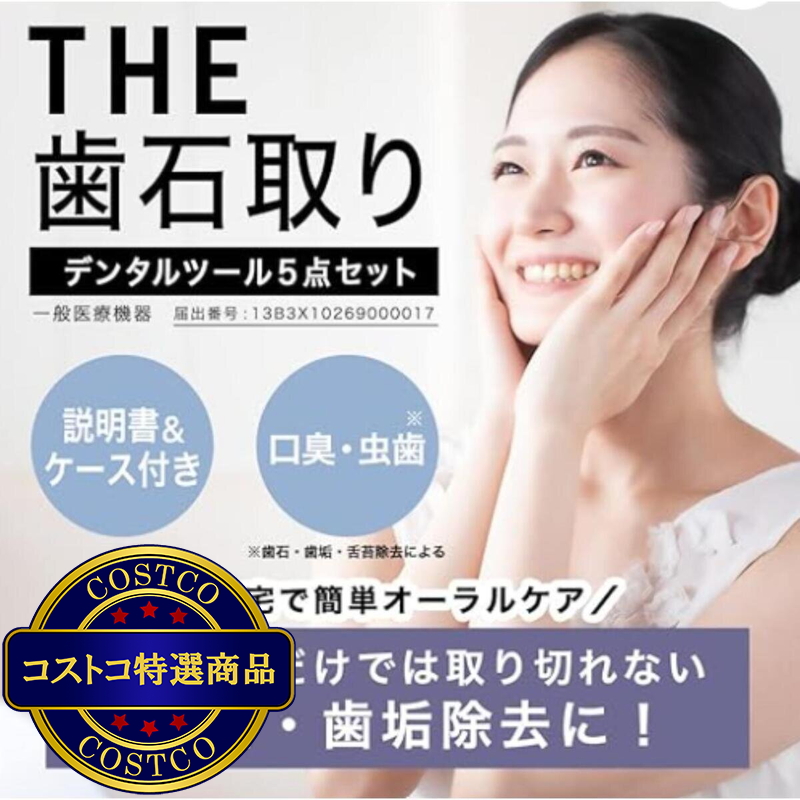 (コストコ) THE歯石取りデンタルツール 5点セット - 画像 (2)