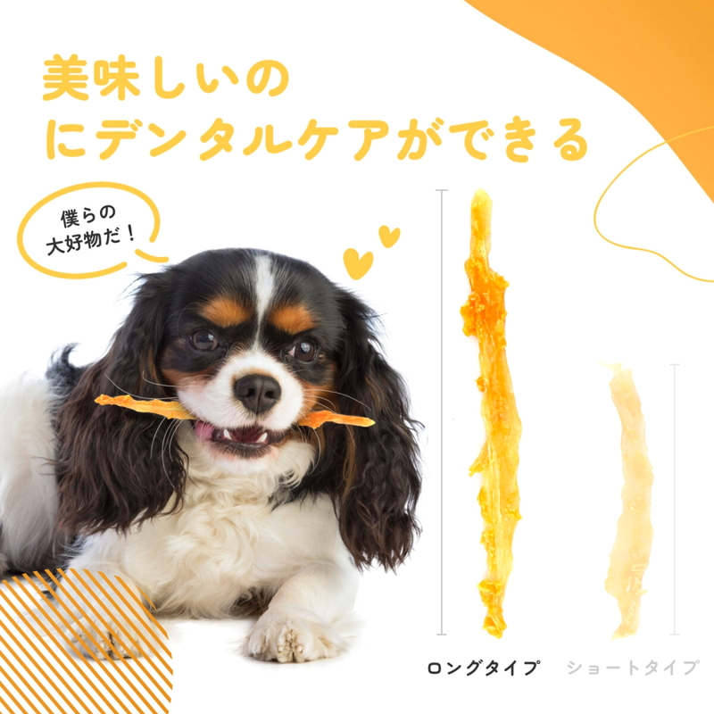 (コストコ) iPaw (アイポー) ターキーアキレス 犬用おやつ ロング 75g x 3袋 - 画像 (2)