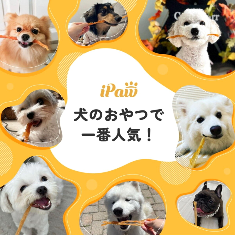 (コストコ) iPaw (アイポー) ターキーアキレス 犬用おやつ ロング 75g x 3袋 - 画像 (3)