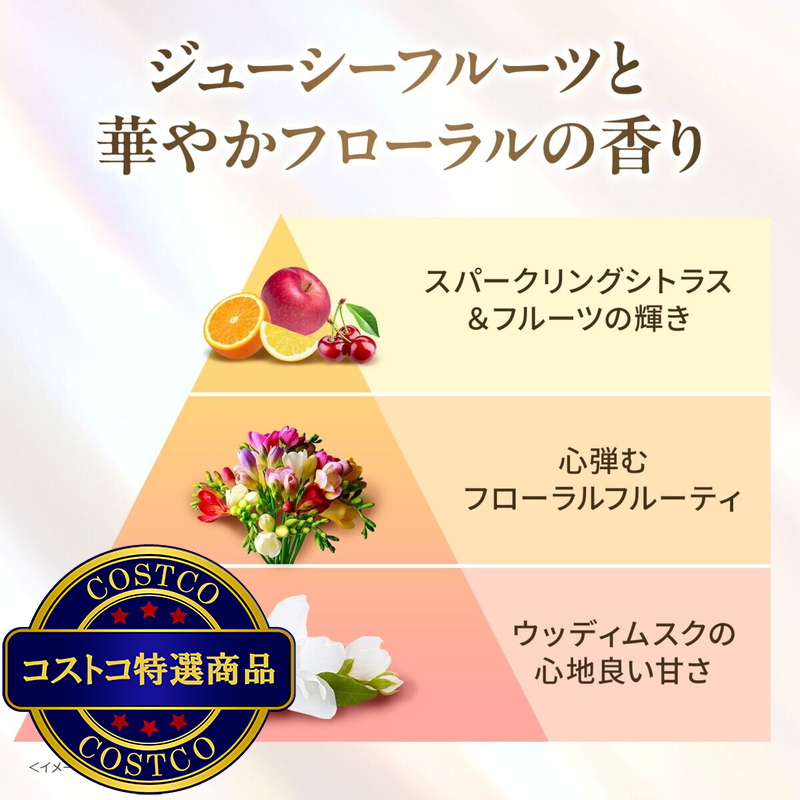 (コストコ) LUX (ラックス) スーパーリッチシャイン ダメージリペア トリートメント 300g x 2 - 画像 (3)