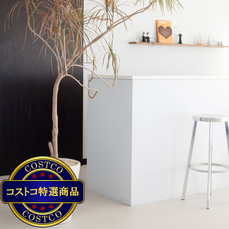(コストコ) ヤマテー モダン PR1 マット釉 プランター 受け皿付き L 13号 40 x 43cm ホワイト ZZ-C13W13P - 画像 (2)