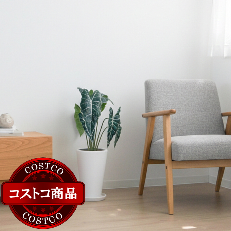 (コストコ) モダン PR1 マット釉 プランター 受け皿付き S 9号 26 x 36cm ホワイト ZZ-C13W09P - 画像 (2)