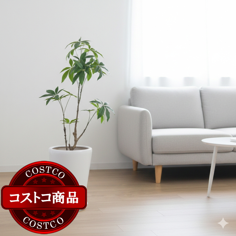 (コストコ) モダン PR1 マット釉 プランター 受け皿付き 2個セット XS 7号 21 x 35cm ホワイト ZZ-C13W07Px2 - 画像 (2)