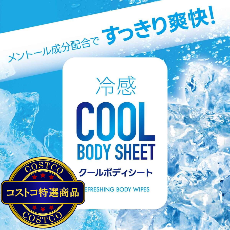 (コストコ) クールボディシート 20シート x 48パック - 画像 (2)
