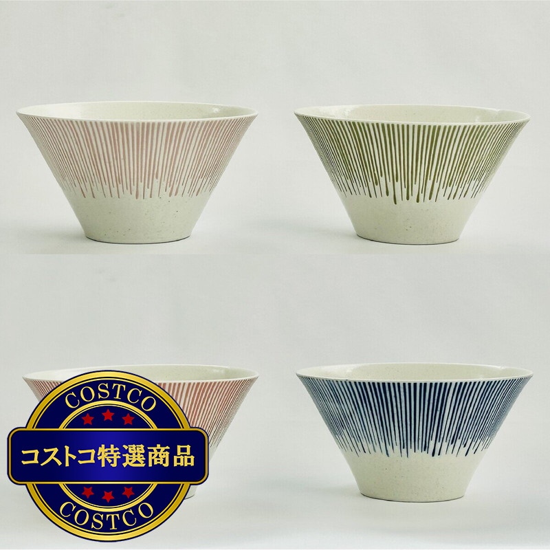 (コストコ) 美濃焼 富士山 丼 4個セット