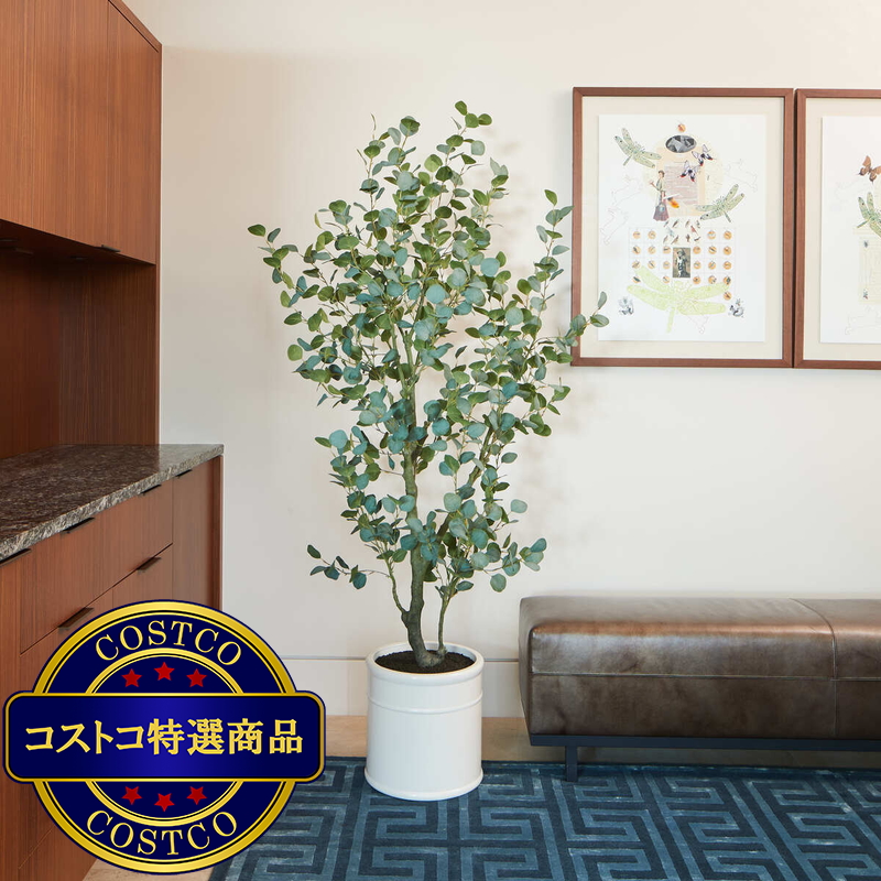 (コストコ) CG HUNTER 人工観葉植物 ユーカリ 約198cm - 画像 (2)