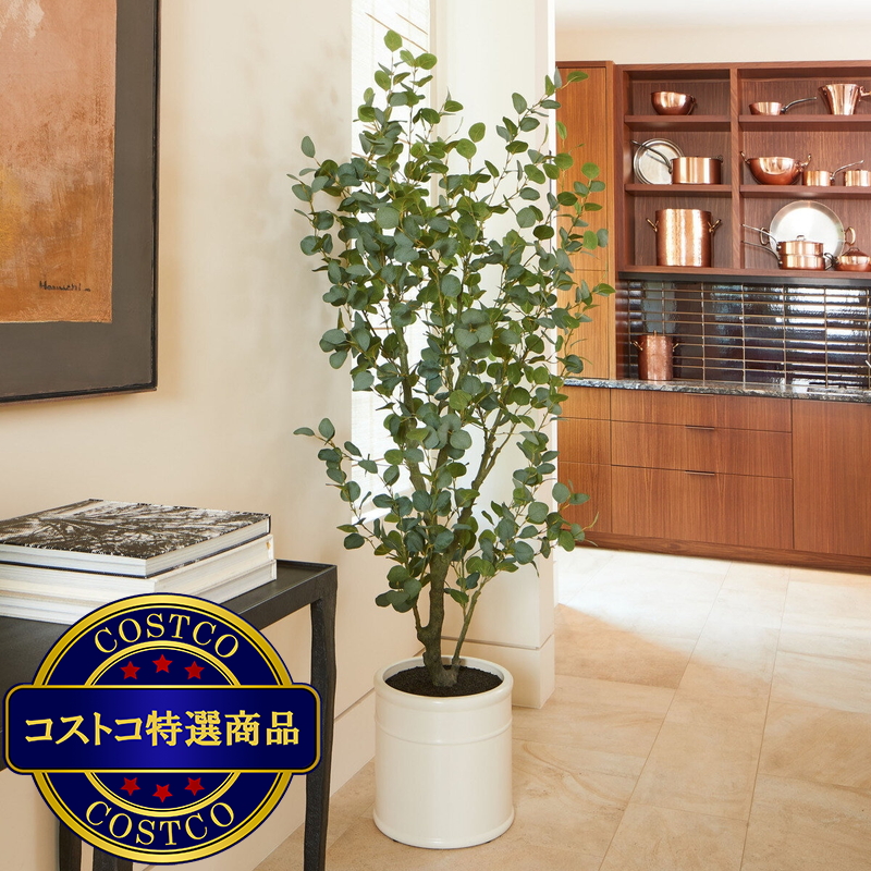 (コストコ) CG HUNTER 人工観葉植物 ユーカリ 約198cm