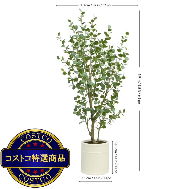 (コストコ) CG HUNTER 人工観葉植物 ユーカリ 約198cm - 画像 (4)