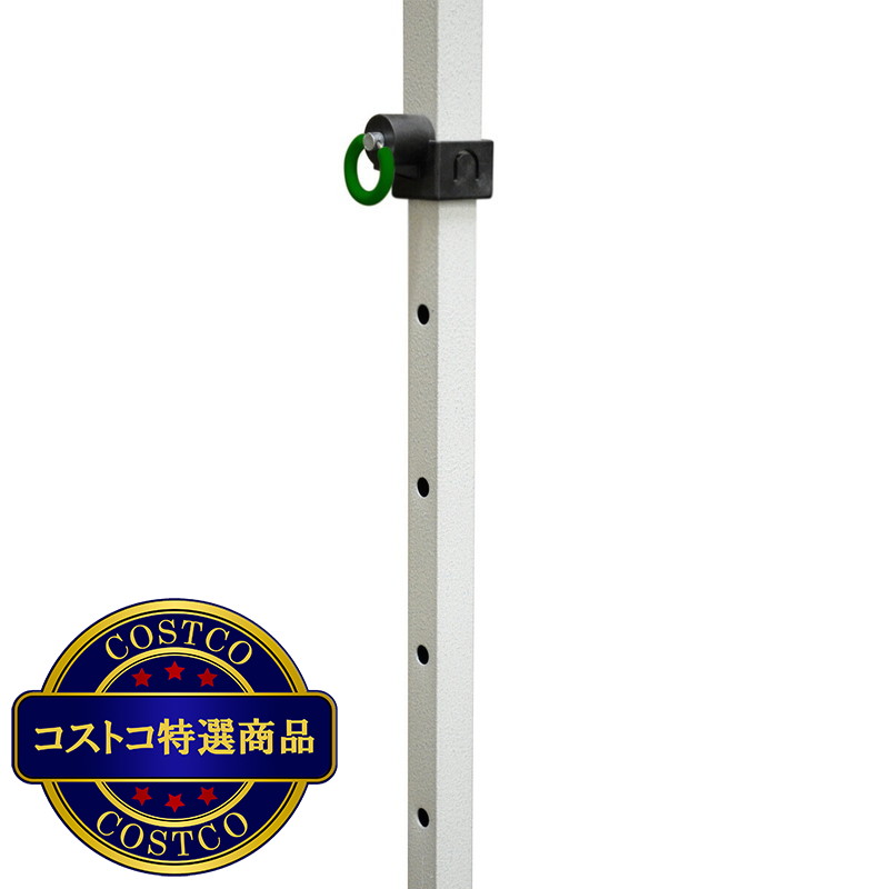 (コストコ) キャラバンキャノピー 10x10 フィート (3 x 3m) サイドウォール付 - 画像 (3)