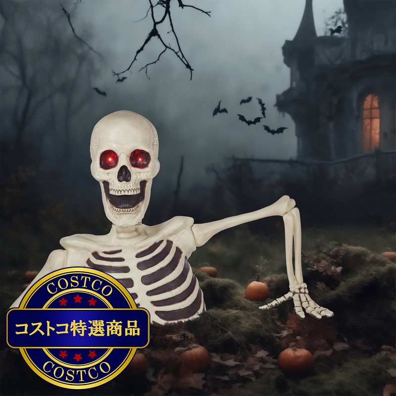 (コストコ) ジャイアント グラウンド ブレイカー - 画像 (2)
