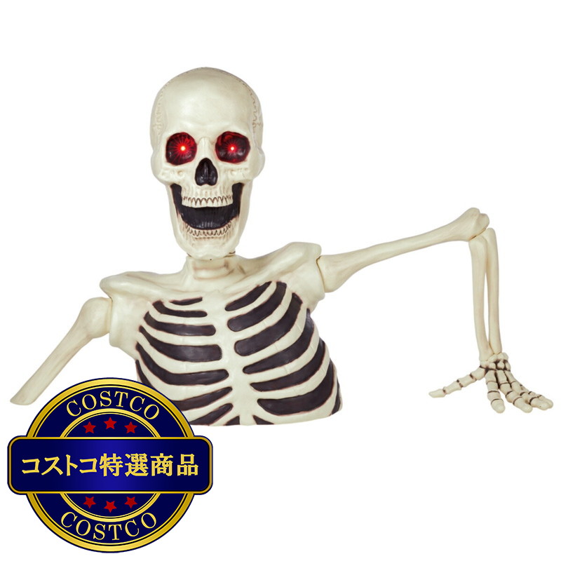 (コストコ) ジャイアント グラウンド ブレイカー