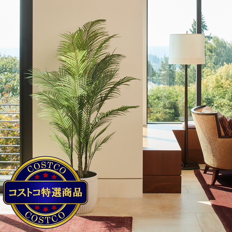 (コストコ) CG HUNTER Faux Palm Tree 199cm