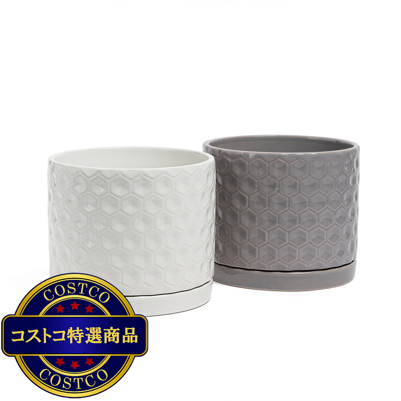 (コストコ) オーバー&バック ハニカム セラミックプランター 直径20cm x 高16.5cm 2個セット - 画像 (2)