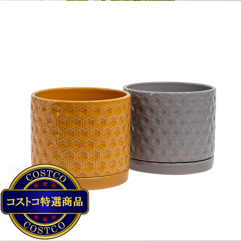 (コストコ) オーバー&バック ハニカム セラミックプランター 直径20cm x 高16.5cm 2個セット - 画像 (3)