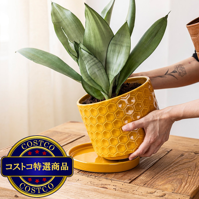 (コストコ) オーバー&バック ハニカム セラミックプランター 直径20cm x 高16.5cm 2個セット - 画像 (4)