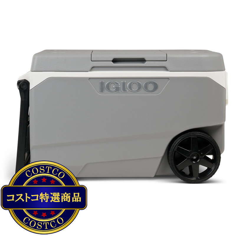 (コストコ) イグルー マックスコールド90ＱＴ（85Ｌ）クーラーボックス