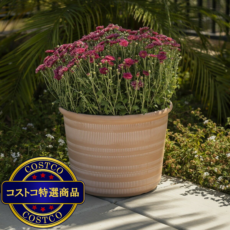 Trendspot Forum 樹脂製プランター 12寸 3個セット - 画像 (2)