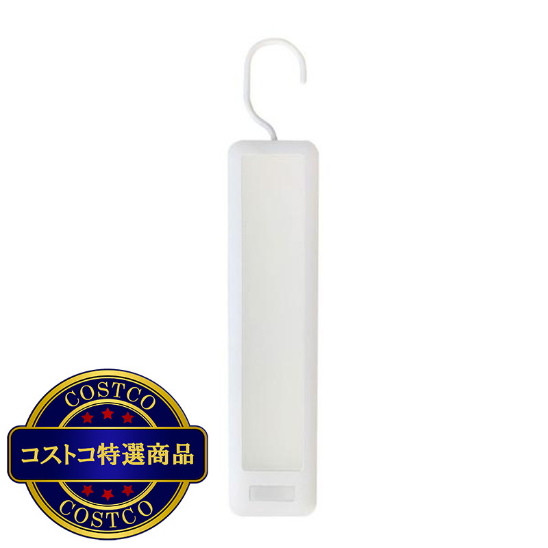 (コストコ) RITEX どこでもひっかけ薄型センサーライト　ASC-800