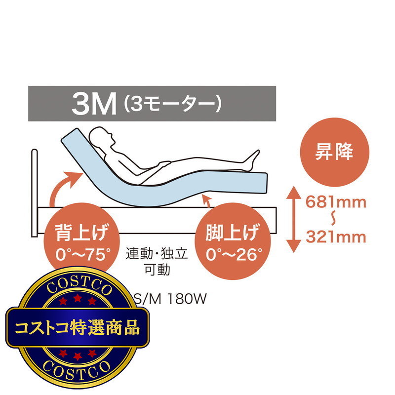 (コストコ) フランスベッド 電動ベッドセット シングル EZ201 3M - 画像 (3)
