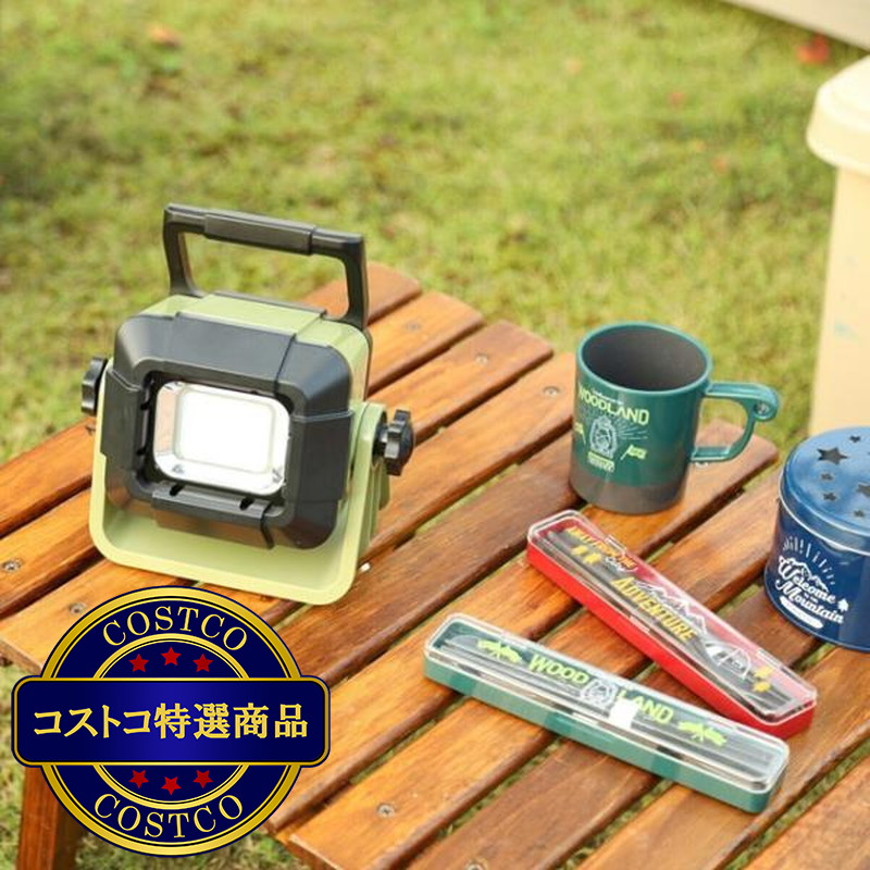 (コストコ) アイリスオーヤマ LEDベースライト充電式 500lm LLT-500BB - 画像 (3)