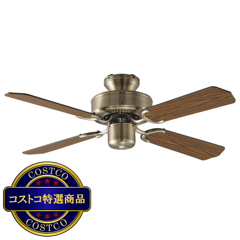 (コストコ) 大光電機 シーリングファン CSF-082 - 画像 (2)