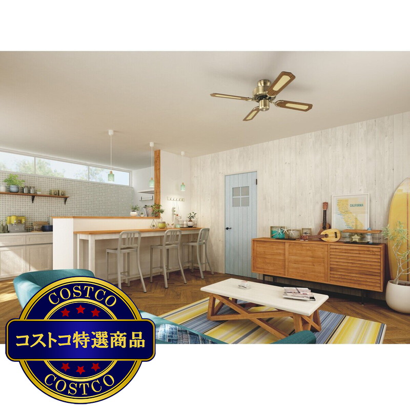 (コストコ) 大光電機 シーリングファン CSF-082 - 画像 (3)