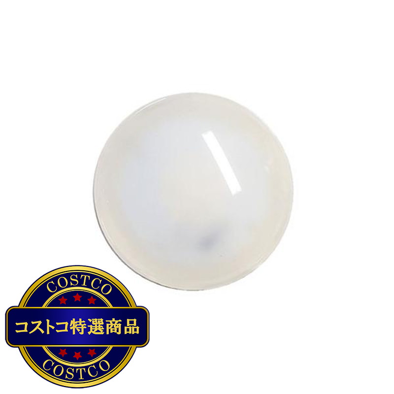 (コストコ) 大光電機 LED ユニットフラットランプ 昼白色