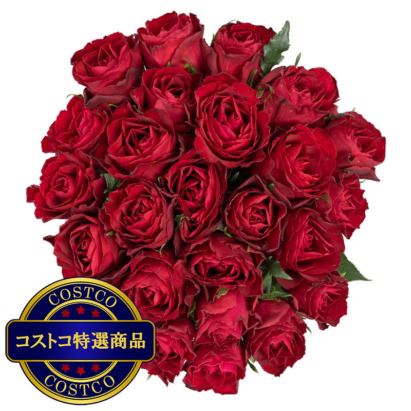 (コストコ) ローズブーケ 24本入