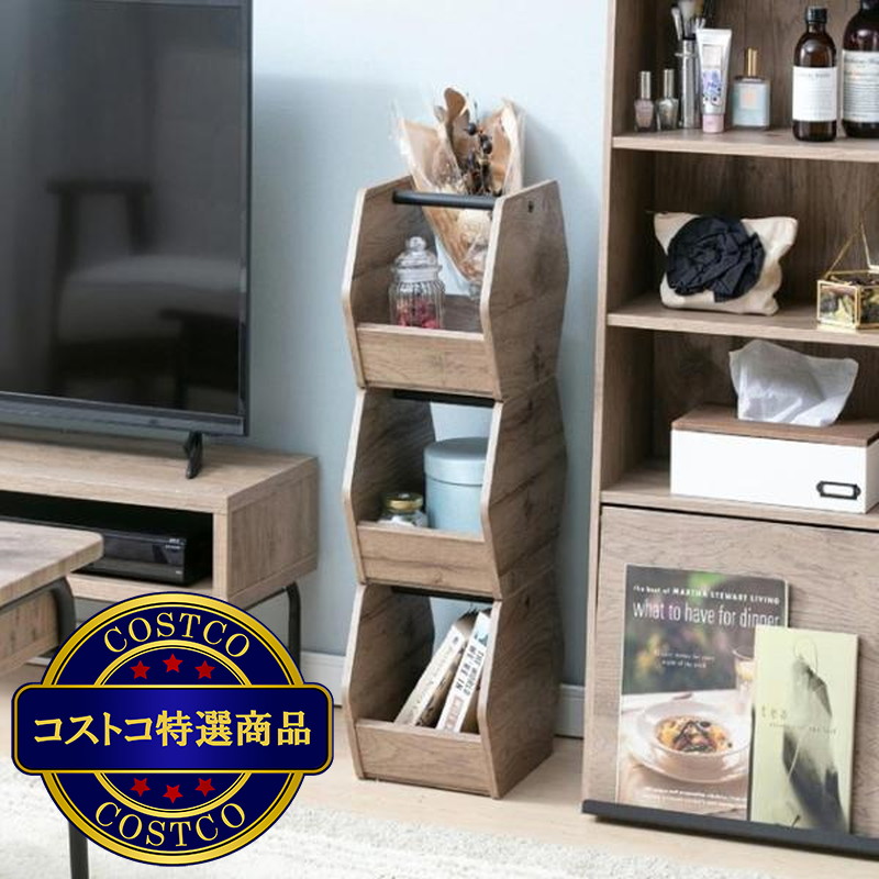 (コストコ) アイリスオーヤマ アイアンウッドボックス 3個セット IWB3-222 - 画像 (2)